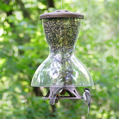 Squirrel proof bird feeder amazon - Bird Feeders for Outside Hanging,Squirrel Proof Wild Bird Feeders, Heavy Duty Metal Bird Feeder with 4 lbs Seed Capacity. 718. $2296. Join Prime to buy this item at $19.96. FREE delivery Sat, Sep 23 on $25 of items shipped by Amazon. Or fastest delivery Thu, Sep 21. More Buying Choices. $9.96 (7 used & new offers)